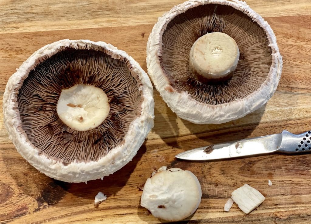 portobello mushroom 