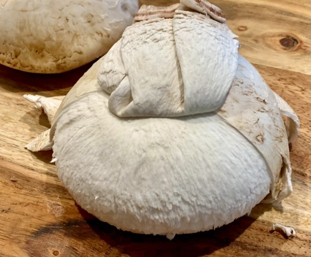 preparing portobello mushrooms
