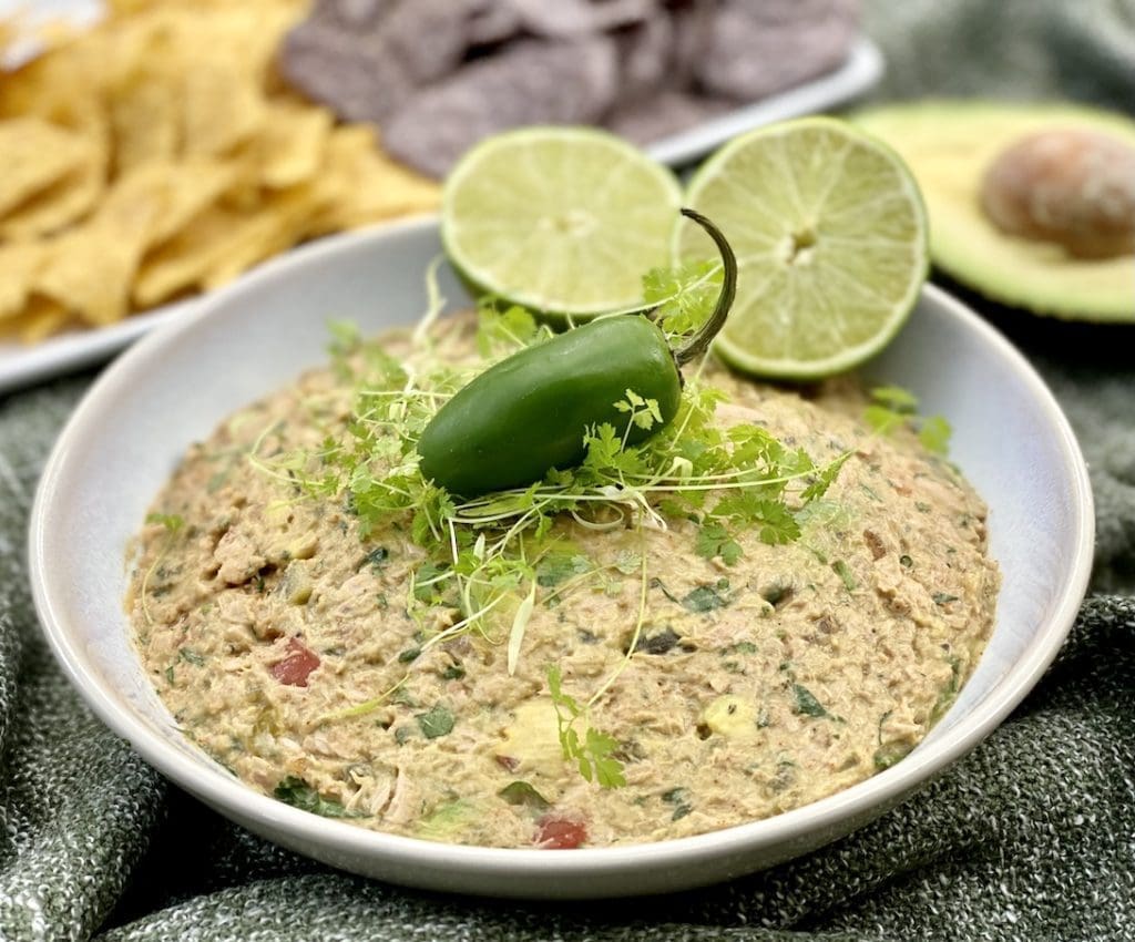 SPICY TUNA DIP