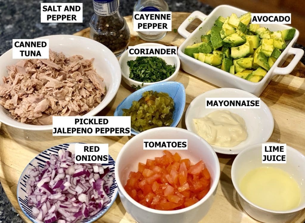 Ingredients for Spicy Tuna Dip