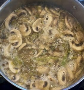 Mushroom Leek Soup
