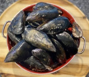 Mussel and Saffron Soup