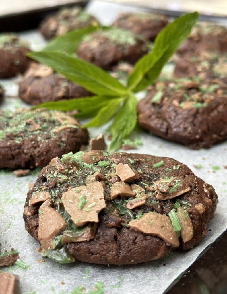 Chocolate Peppermint Cookies