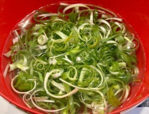 spring onions in icy water