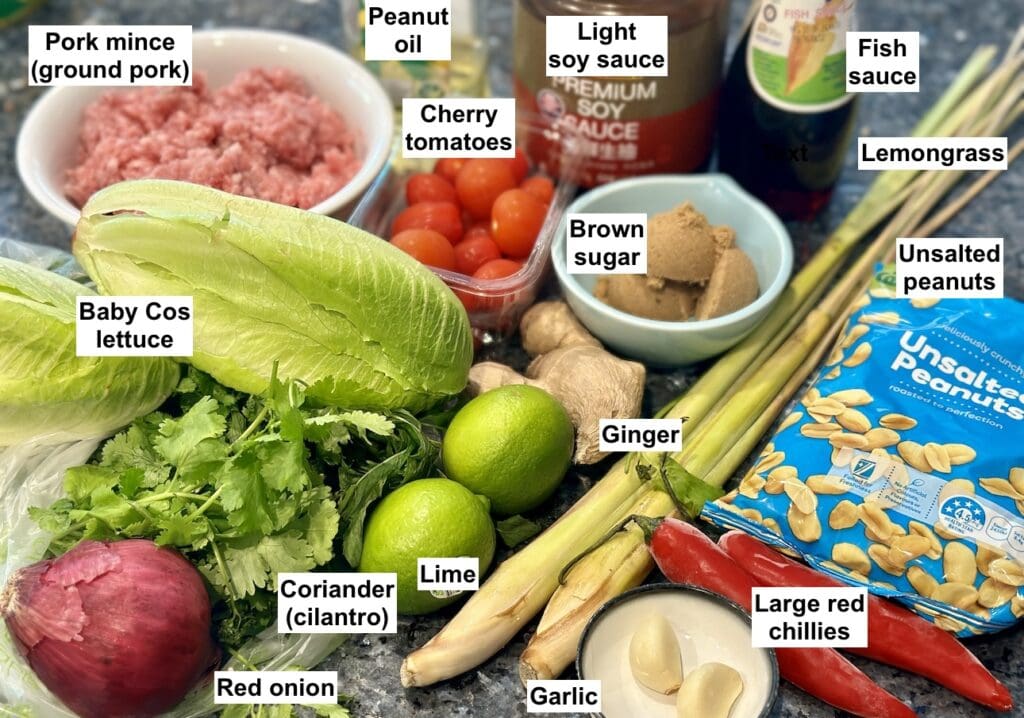 ingredients for Asian Lettuce Wraps