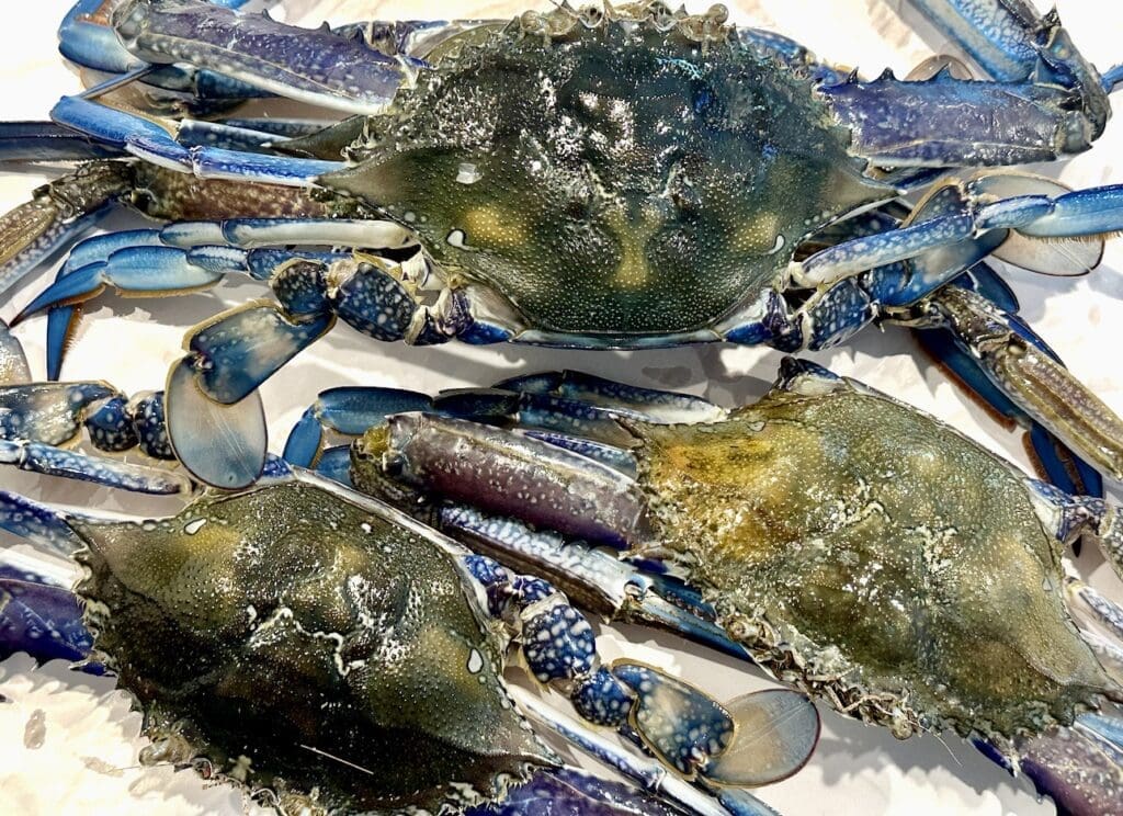 How to prepare Blue Swimmer Crabs
