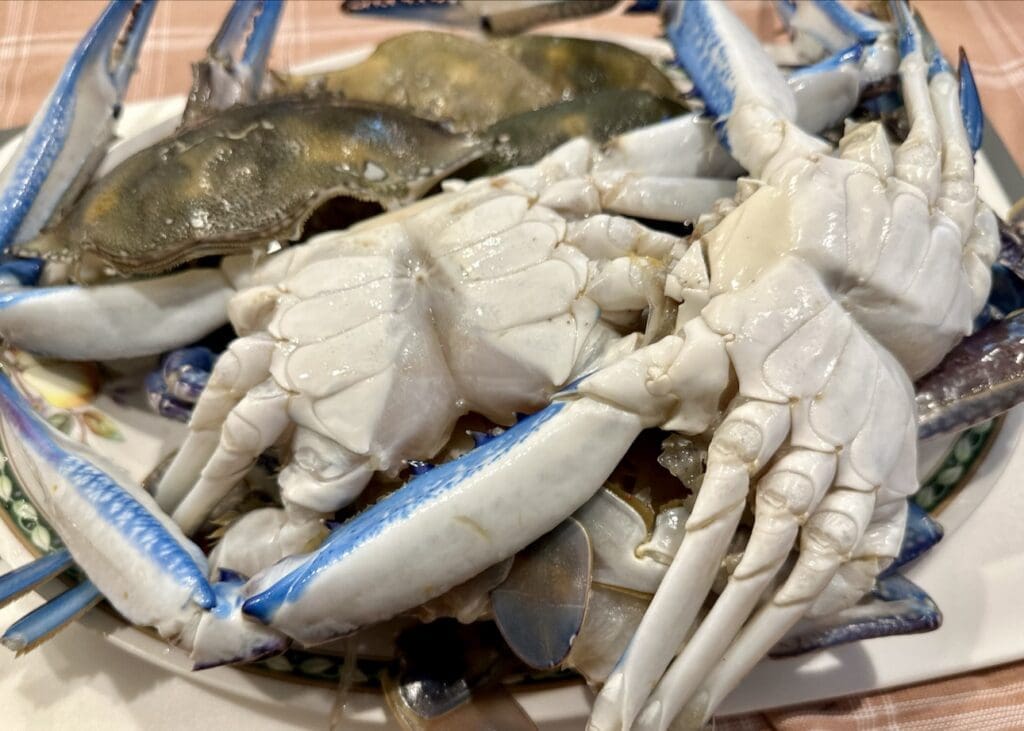 How to prepare Blue Swimmer Crabs