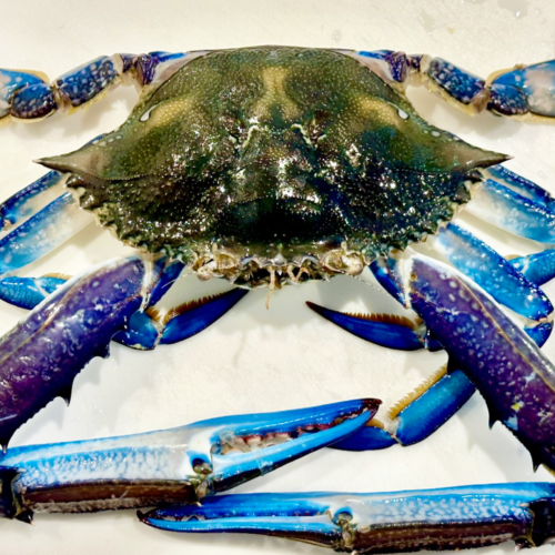 How to prepare Blue Swimmer Crabs