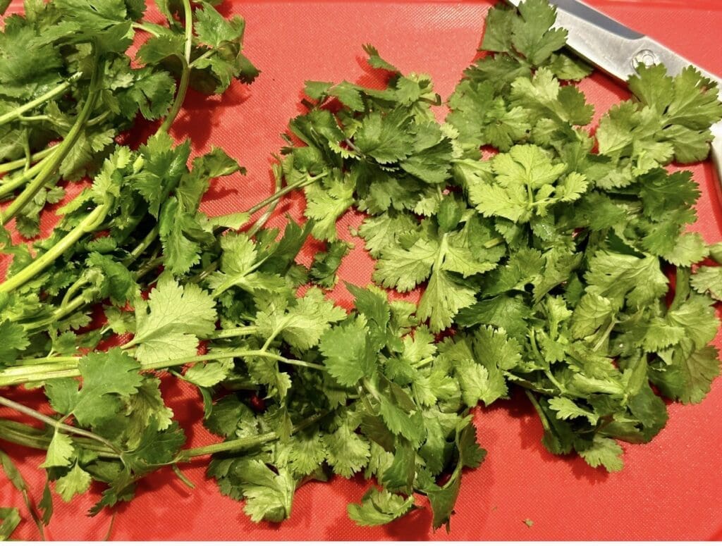 coriander leaves