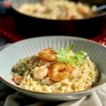Shrimp Orzo